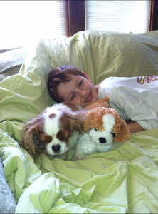 cavalier king charles spaniel therapy dog